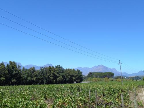 Rouana Guest Farm - thumb 3