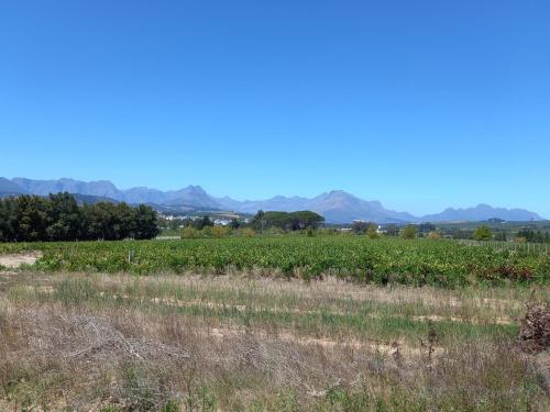 Rouana Guest Farm - thumb 1