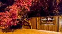 Rustic Forest Guest House Tourism Africa