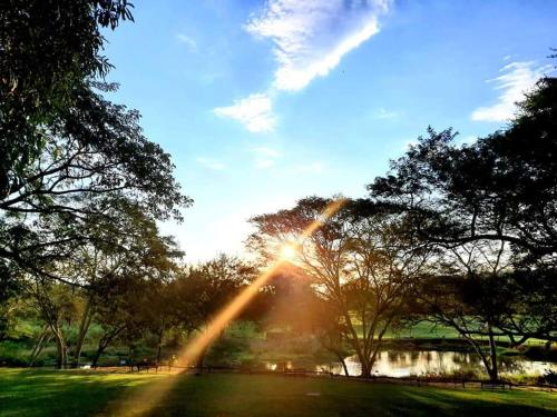 Sabi River Sun Resort - thumb 0