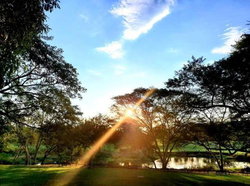 Sabi River Sun Resort