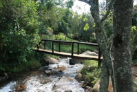 Sabie Star Tourism Africa