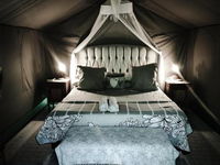 Sanctuary Guest  Adventure Farm Tourism Africa