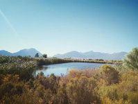 Schalkenbosch Wine Estate - Heritage Cottages Tourism Africa