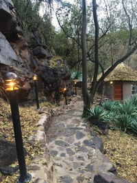 Schamach Guest Farm Tourism Africa