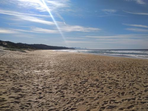 Sea-Lets - thumb 1