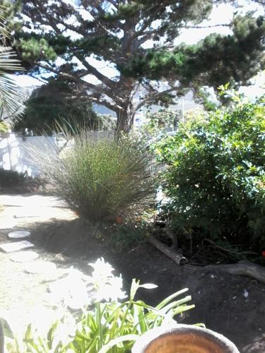 Self Catering, Sandbaai - thumb 0