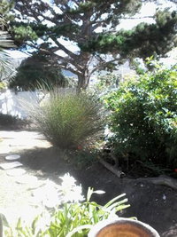 Self Catering Sandbaai Tourism Africa