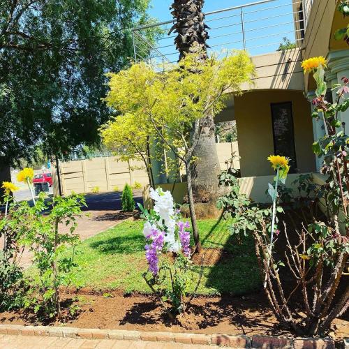 Selina Airport Lodge #Emzini - thumb 1