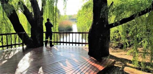 Sema River Lodge - thumb 0