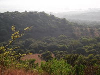 Book Maanhaarrand Hotels, Tourism Africa Tourism Africa