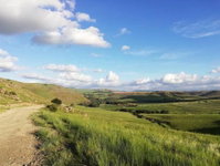 Sheeprun Farmstay Tourism Africa
