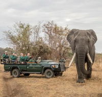 Shiduli Private Game Lodge - Tourism Africa