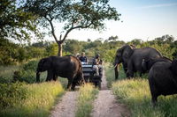 Simbavati Camp George Tourism Africa