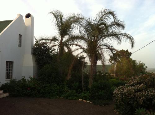 Soli Deo Gloria - thumb 1