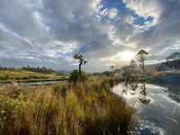 Tegwaan Country Getaway Tourism Africa