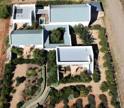 The Bean Tree - thumb 1