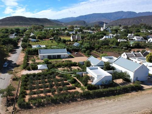 The Bean Tree - thumb 5