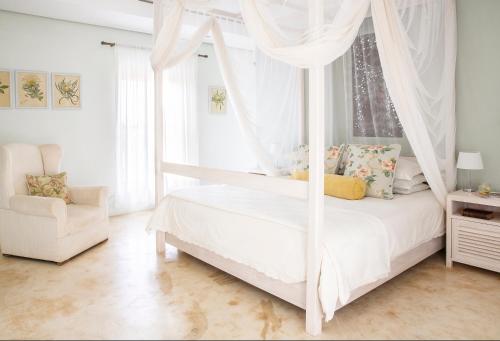 The Grand Marigold - thumb 5