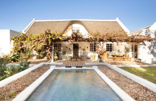 The Grand Marigold - thumb 0