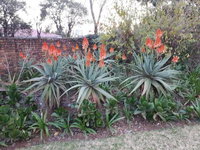 The Greendoor Guesthouse Tourism Africa