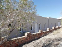 The Karoo Prinia Tourism Africa
