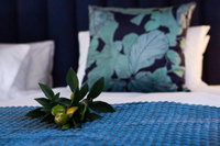 The Lemon Tree Tourism Africa