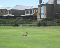 The Lodge at Atlantic Beach Tourism Africa