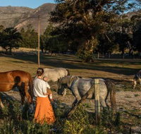 The Manor House - Tourism Africa