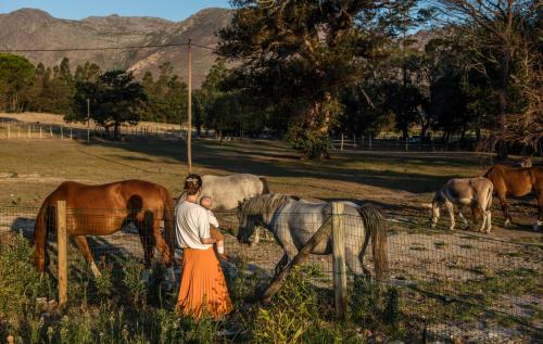 The Manor House - thumb 2