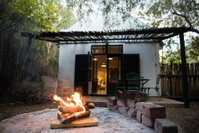 The Olive Thrush Cottage Tourism Africa