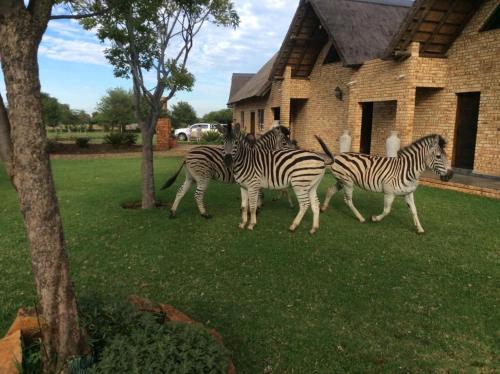 The Vaal Guesthouse - thumb 1