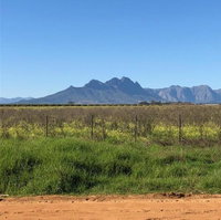 The Vineyard East Tourism Africa