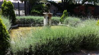 The Yardt Guest House Tourism Africa