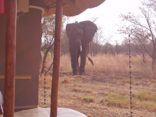 Thekwane Lodge - thumb 1