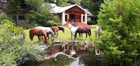 Book Hogsback Hotels, Tourism Africa Tourism Africa