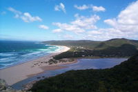 Tree-house for two In Natures Valley Tourism Africa