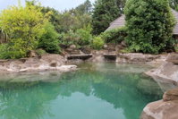 Treks Trips and Trails Tourism Africa