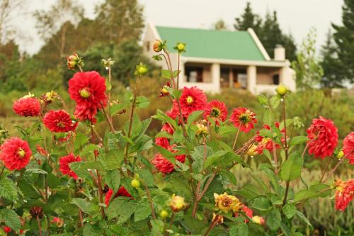 Trengwainton Cottage - thumb 0
