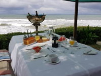 Tropical Beach Boutique Guesthouse Tourism Africa