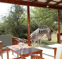 Turaco Lodge - Tourism Africa