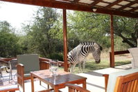 Book Kruger National Park Hotels, Tourism Africa Tourism Africa