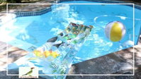 Uccellohouse Tourism Africa