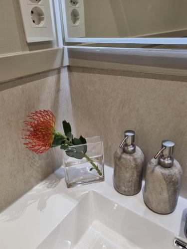 Vrede Self-Catering - thumb 1