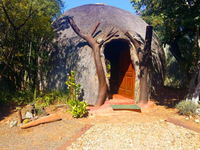 Warthogs Bush Lodge Tourism Africa