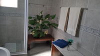 Westcoast Central Budget accommodation Tourism Africa
