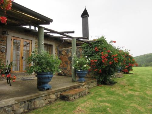 Wetlands Country House & Sheds - thumb 0