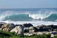 Whales  Waves Tourism Africa