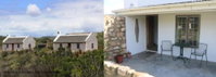 Wild Rescue Nature Reserve Tourism Africa