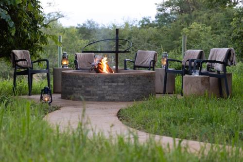 Wildheart Safari - MAIN - thumb 1